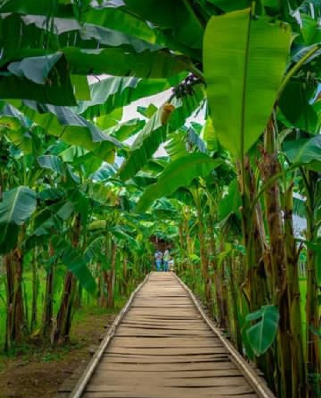  نظرات برخی کاربران درباره ما